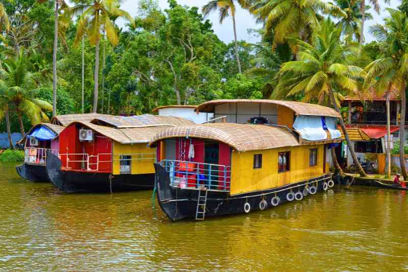 Family Time in Kerala: A 6-Day Tropical Tour