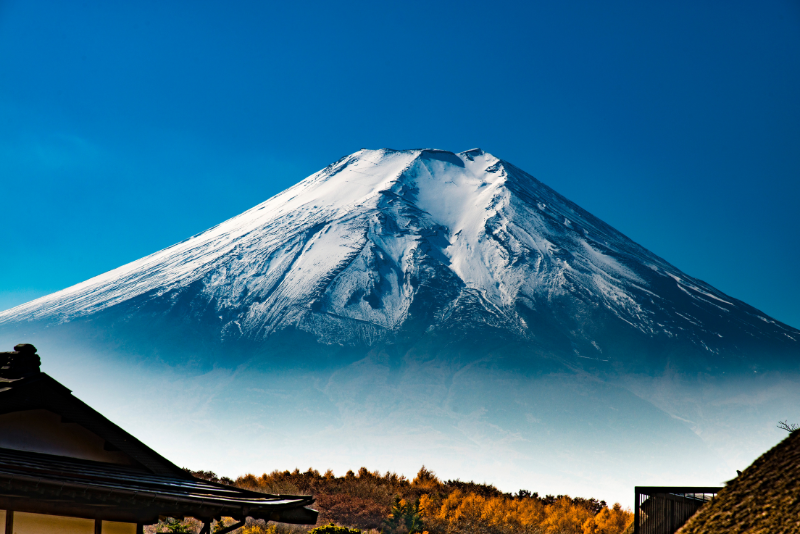 Splendid 7 Days Japan Tour Package from India